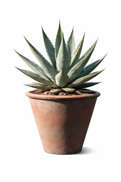 Moderner Terracottatopf aus Impruneta von Poggi Ugo